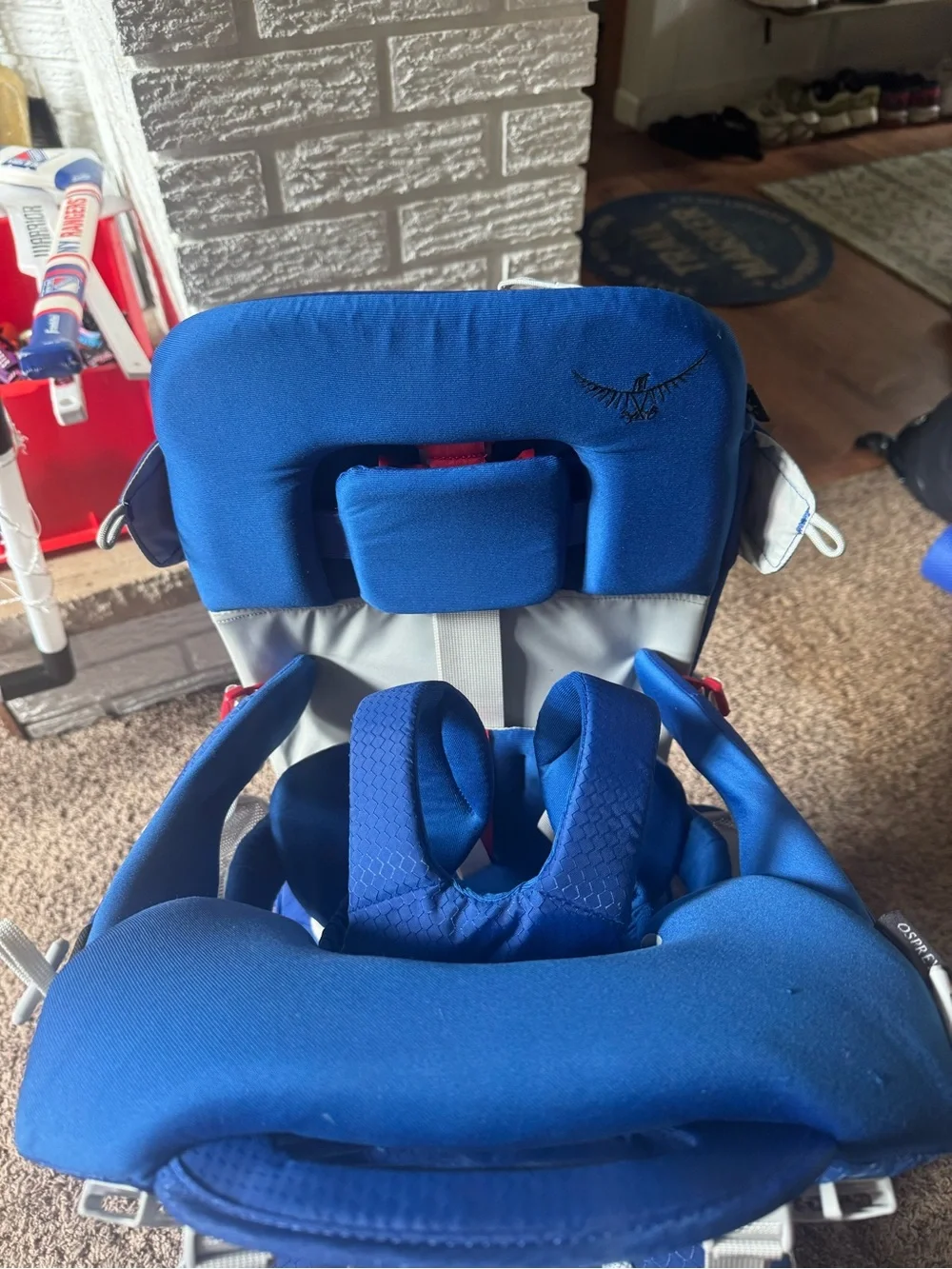 OSPREY Poco Plus Carrier in Royal Blue